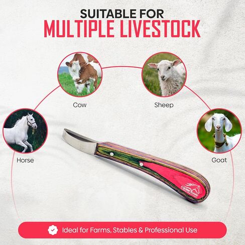Equine Care Hoof Loop Knife, J2 Stainless Steel, Red Handle, Either Hand in Saudi Arabia