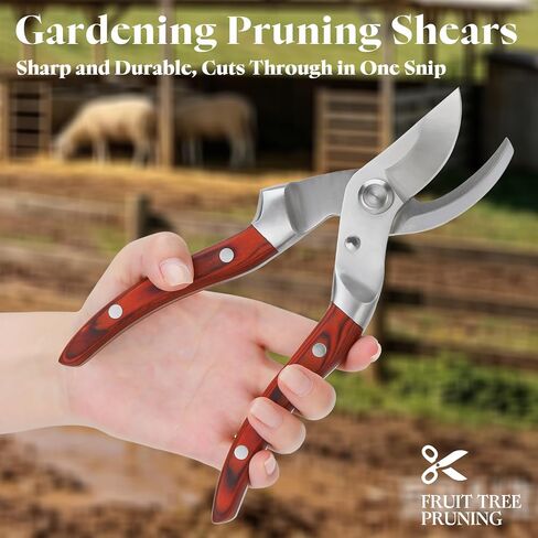 Goat Hoof Trimmers, Professional Livestock Hoof Care Tool for Sheep in Kuwait
