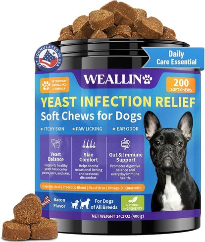 Yeast Infection Treatment for Dogs, Itchy Skin Paw Ear Support 200 Chews in Saudi Arabia