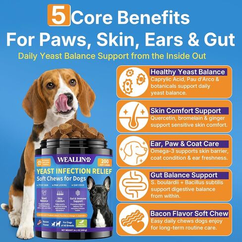 Yeast Infection Treatment for Dogs, Itchy Skin Paw Ear Support 200 Chews in Saudi Arabia