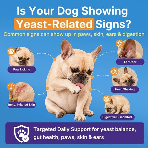 Yeast Infection Treatment for Dogs, Itchy Skin Paw Ear Support 200 Chews in Saudi Arabia