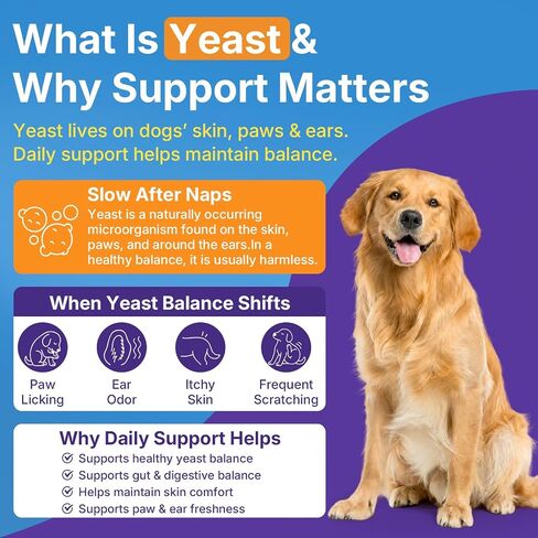 Yeast Infection Treatment for Dogs, Itchy Skin Paw Ear Support 200 Chews in Saudi Arabia
