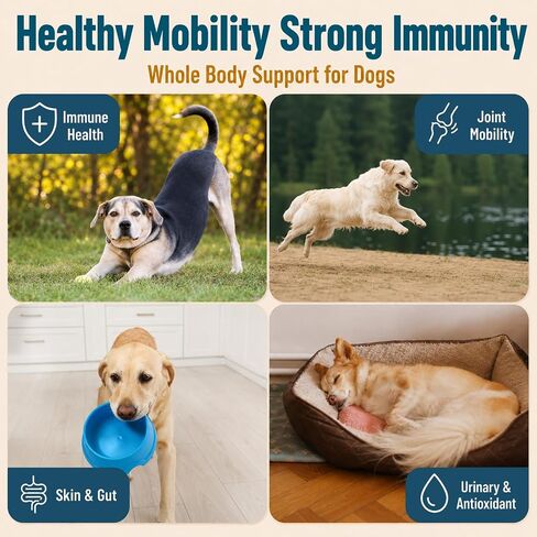 Turkey Tail Mushroom for Dogs, Immune & Joint Supplement for Dog, 200 Chews in Kuwait