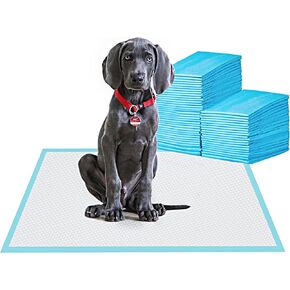 BESTLE Large Pet Training and Puppy Pads Pee Pad for Dogs 24"x24"-80 Count Super Absorbent & Leak-Proof in Kuwait
