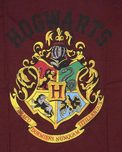 Harry Potter Hogwarts Crest Short-Sleeve Youth Boys' Graphic Tee T-Shirt in Kuwait