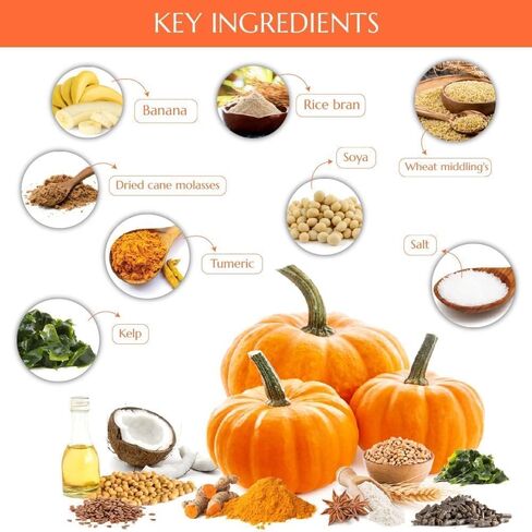 Kelcies Pumpkin Spice Horses Treats - Low Sugar, Starch, and Carbohydrates | Healthy Treats for Horse Supports Superior Digestion (15 Pound Refill (Pack of 1)) in Saudi Arabia