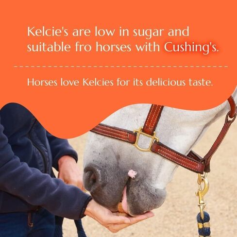 Kelcies Pumpkin Spice Horses Treats - Low Sugar, Starch, and Carbohydrates | Healthy Treats for Horse Supports Superior Digestion (15 Pound Refill (Pack of 1)) in Saudi Arabia