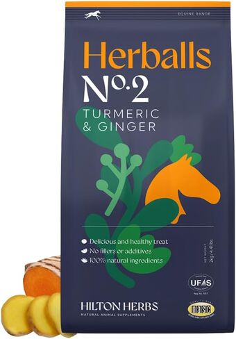 Hilton Herbs Herballs No.2 - Turmeric & Ginger All-Natural Treats for Horses 2kg (4.4lb) Bag, Equine Supplement in Saudi Arabia