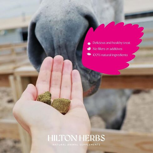 Hilton Herbs Herballs No.2 - Turmeric & Ginger All-Natural Treats for Horses 2kg (4.4lb) Bag, Equine Supplement in Saudi Arabia