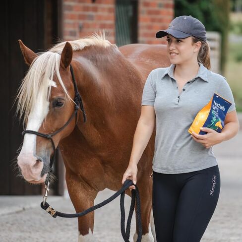 Hilton Herbs Herballs No.2 - Turmeric & Ginger All-Natural Treats for Horses 2kg (4.4lb) Bag, Equine Supplement in Saudi Arabia