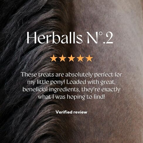 Hilton Herbs Herballs No.2 - Turmeric & Ginger All-Natural Treats for Horses 2kg (4.4lb) Bag, Equine Supplement in Saudi Arabia