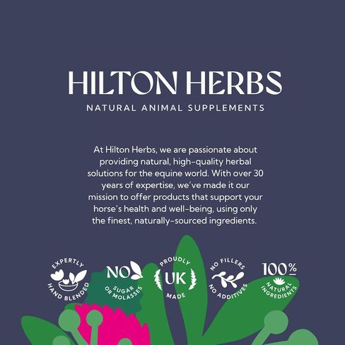 Hilton Herbs Herballs No.2 - Turmeric & Ginger All-Natural Treats for Horses 2kg (4.4lb) Bag, Equine Supplement in Saudi Arabia