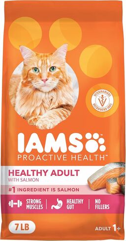 IAMS Proactive Health Healthy Adult Dry Cat Food, Salmon, 7 lb in Saudi Arabia