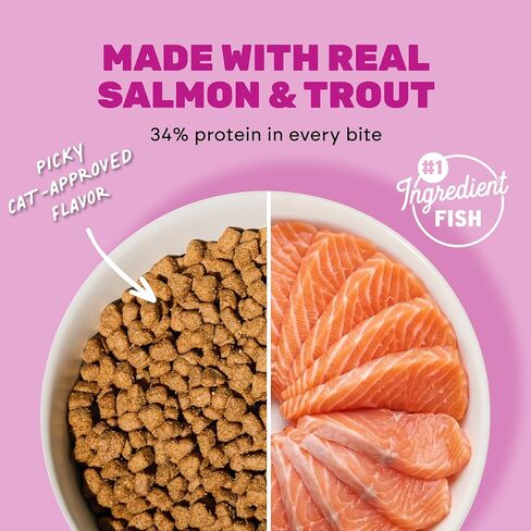 I AND LOVE AND YOU Naked Essentials Dry Cat Food, Salmon & Trout | 3.4lb in Kuwait