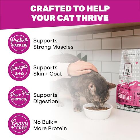 I AND LOVE AND YOU Naked Essentials Dry Cat Food, Salmon & Trout | 3.4lb in Kuwait