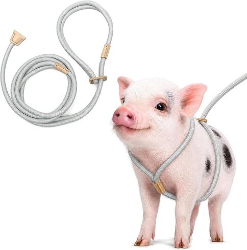 Pig Harness and Leash for Mini Pig, Goat in Kuwait
