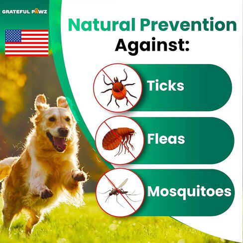Flea and Tick Prevention for Dogs Chewables, Oral Flea and Tick Control in Kuwait