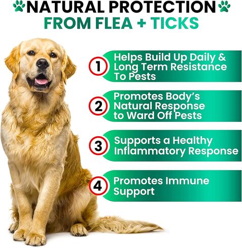 Flea and Tick Prevention for Dogs Chewables, Oral Flea and Tick Control in Kuwait