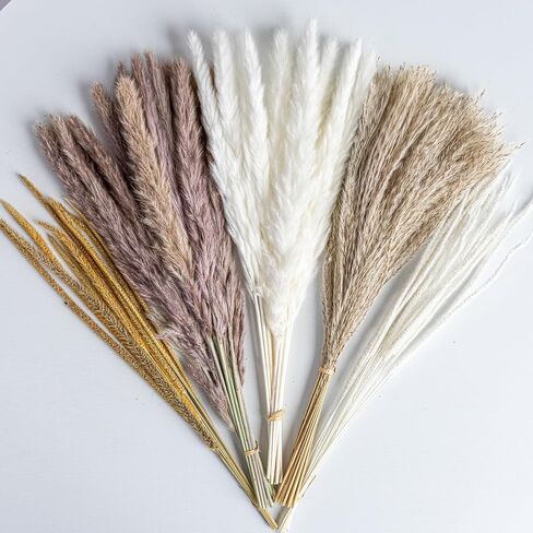 70PCS Natural Dried Pampas Grass Boho Home Decor Bouquet Phragmites Dried Flowers Bouquet for Wedding Floral Arrangements Home Decorations (70PCS) in Kuwait