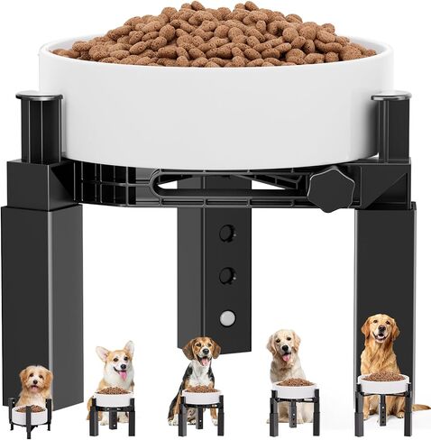 XIAZ Dog Bowl Stand Elevated Food Water Bowl Holder for Large Medium Small Sized Dog, Heights&Width Adjustable, Non-Slip, Durable, Elevated Feeding Bowl Stand for All Dogs Bowls (Stand Only) in Kuwait