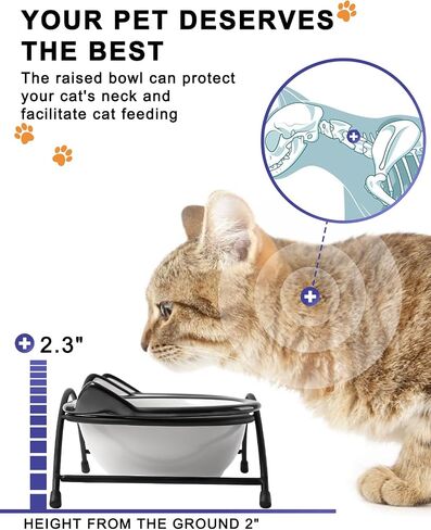 Y YHY Cat Food Bowls, 12 oz Raised Cat Bowls for Food and Water,Ceramic Elevated Pet Dishes Bowls with Stand, Cats and Small Dogs, Dishwasher Safe in Kuwait