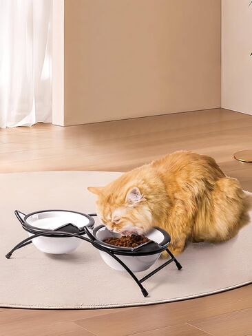 Y YHY Cat Food Bowls, 12 oz Raised Cat Bowls for Food and Water,Ceramic Elevated Pet Dishes Bowls with Stand, Cats and Small Dogs, Dishwasher Safe in Kuwait