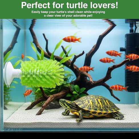 1 PCS Turtle Scrub Exfoliating Brush Tank Cleaning Scrub Helping The Remove Dirt on The Back and Abdomen Turtle Brush with Suction Cup Aquarium Accessories Accessories for Tank in Saudi Arabia