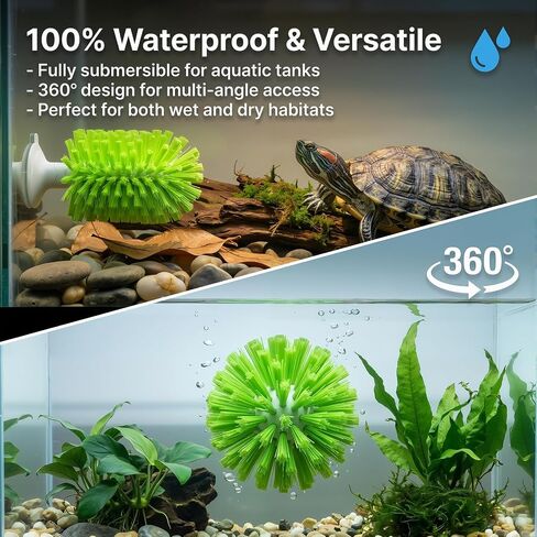 3-Piece Turtle Shell Brush & Feeder Ball Set, Turtle Tank Care Accessories in Saudi Arabia
