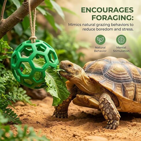 3-Piece Turtle Shell Brush & Feeder Ball Set, Turtle Tank Care Accessories in Saudi Arabia