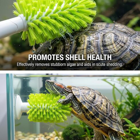 3-Piece Turtle Shell Brush & Feeder Ball Set, Turtle Tank Care Accessories in Saudi Arabia