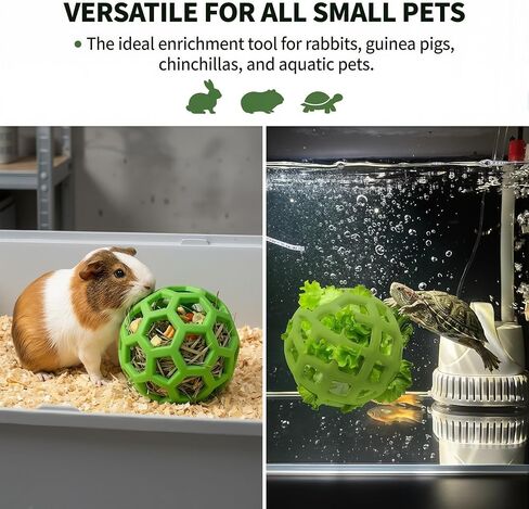 3-Piece Turtle Shell Brush & Feeder Ball Set, Turtle Tank Care Accessories in Saudi Arabia