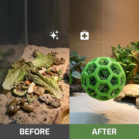 3-Piece Turtle Shell Brush & Feeder Ball Set, Turtle Tank Care Accessories in Saudi Arabia