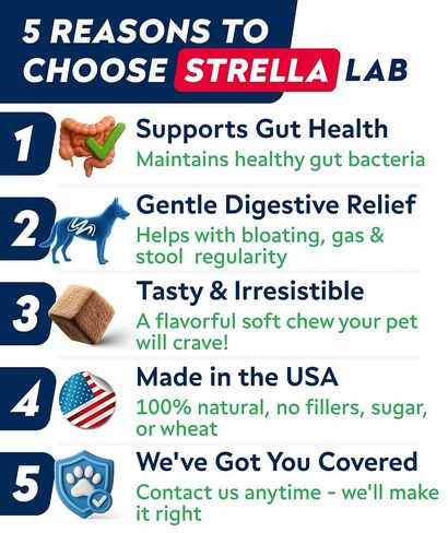 STRELLALAB Dog Probiotics Chews for Digestive Health & Gut Support in Saudi Arabia