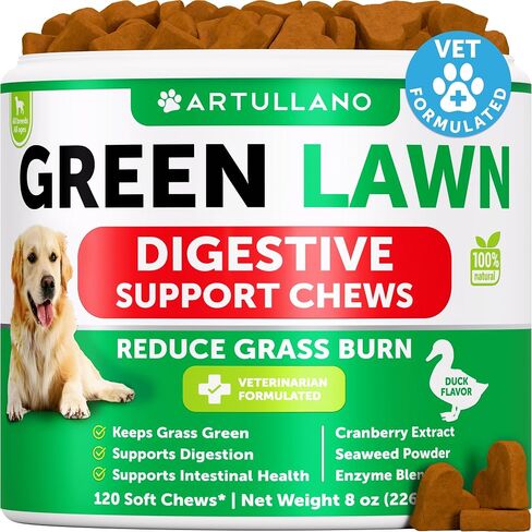 Anal Gland Support Chews for Dogs - Bye Scoot - Dog Fiber Chews w/ Pumpkin in Kuwait