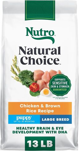 Nutro Natural Choice Large Breed Puppy Dry Dog Food, Lamb, 30 lb in Kuwait