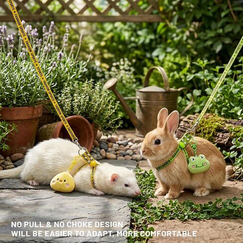 2PCS Ferret Harness and Leash, Adjustable Guinea Pig Harness, Bunny Leash in Saudi Arabia