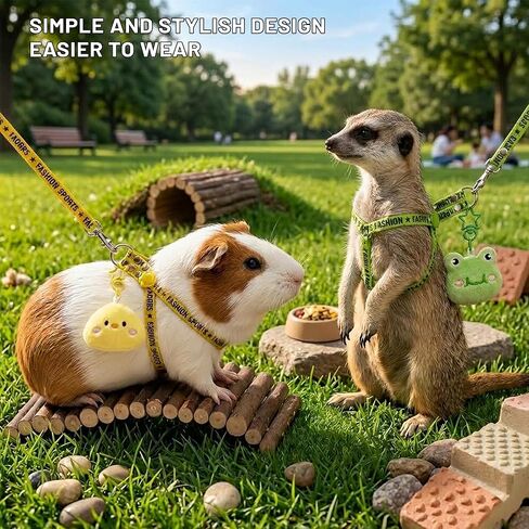 2PCS Ferret Harness and Leash, Adjustable Guinea Pig Harness, Bunny Leash in Saudi Arabia