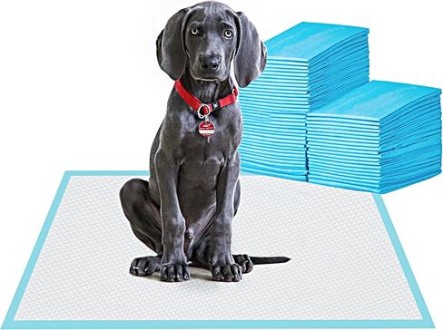 BESTLE Large Pet Training and Puppy Pads Pee Pad for Dogs 24"x24"-80 Count Super Absorbent & Leak-Proof in Kuwait