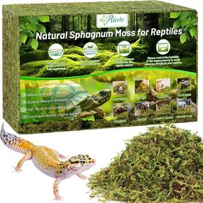 Riare 8OZ Sphagnum Moss for Reptiles- 10QT Natural Reptile Moss Bedding in Saudi Arabia