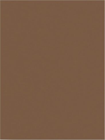Prang (Formerly SunWorks) Construction Paper, Brown, 9" x 12", 100 Sheets in Kuwait