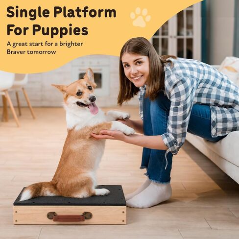 2 PCS Place Board Wooden Connectable Dog Training Platform, Black in Saudi Arabia