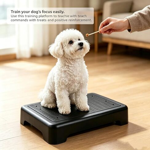 Dog Training Place Board with Whistle, Non-Slip Portable Dog Platform for Agility, Puppy Training Equipment for Small Medium Dogs 17.3"x13.4"x3.8" (Black) in Kuwait