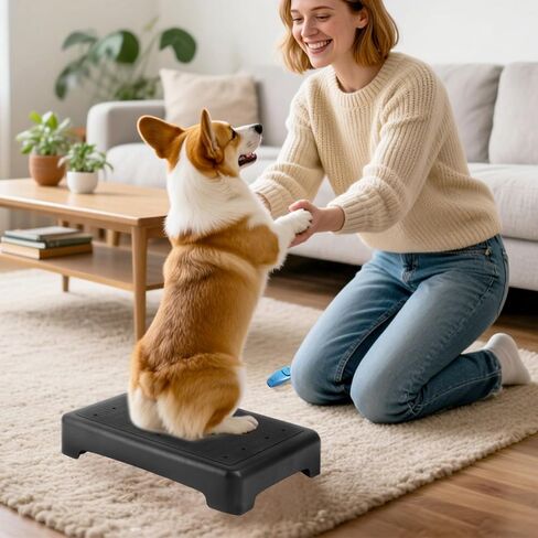 Dog Training Place Board with Whistle, Non-Slip Portable Dog Platform for Agility, Puppy Training Equipment for Small Medium Dogs 17.3"x13.4"x3.8" (Black) in Kuwait