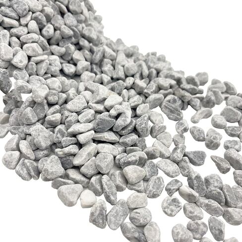 1 LB Fine Natural Silsand, Coarse Silica Sand for Plants, Aquariums, Fire Pits, Terrariums, Cactus and Succulent Plants & Garden Sand Grit in Saudi Arabia