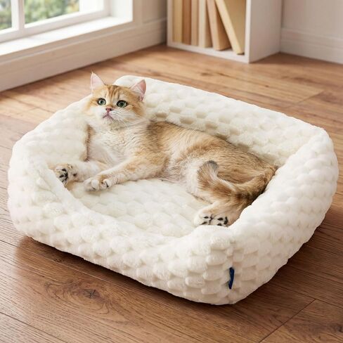 Bedsure Washable Fluffy Cute Dog Beds for Small & Medium Dogs, 25in Cream in Saudi Arabia
