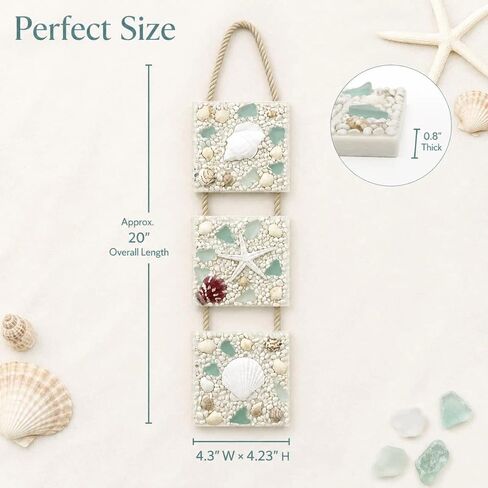 flangairy Coastal Wall Decor 3D Seashell Starfish Conch Wall Hanging, 20.5 * 4.3 Inches Beach Nautical Ocean Theme Bathroom Home Summer Decorations Sea Shell Art in Saudi Arabia