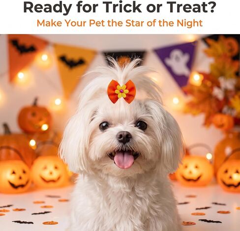 Mruq 80pcs Halloween Small Dog Hiar Bows with Rubber Bands in Saudi Arabia
