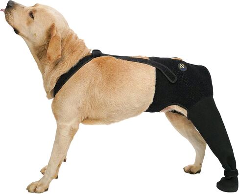 COODEO Dog Rear Leg Recovery Sleeve, Waterproof Hind Leg Sock for Dogs, Anti-Slip Paw Cover, Wear Resistant Protective Sleeve for Hot Spots, Sores & Outdoor Use (Black, L_Left Rear Leg) in Saudi Arabia