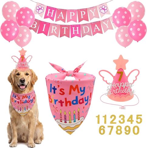 Blue Dog Birthday Bandana Hat Set Boy Large 1PCS Party Outfit in Kuwait