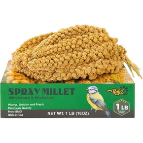 RANZ 5LB Spray Millet for Birds, Natural Sun-Dried Treat for Parakeets & Parrots in Kuwait